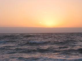 IMG_0870.JPG